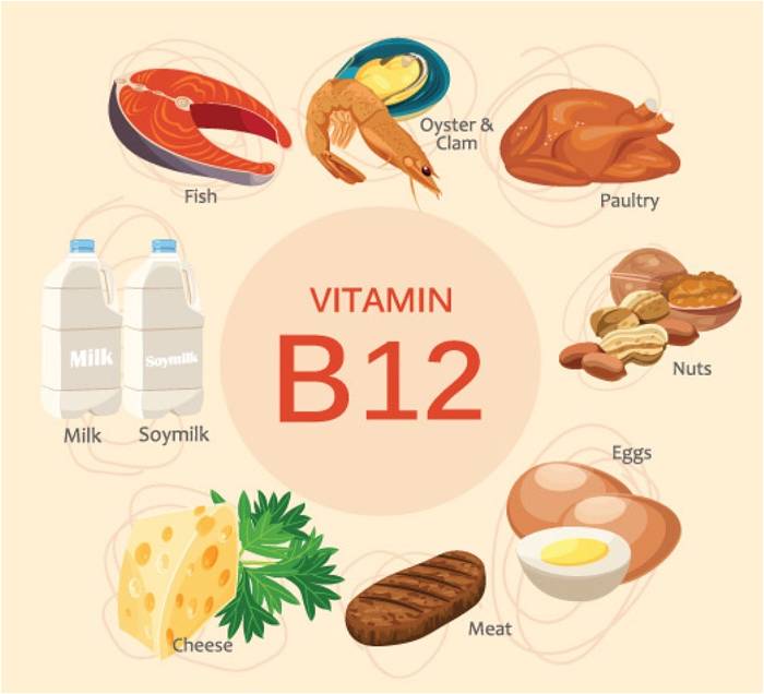  thực phẩm chứa nhiều Vitamin B12