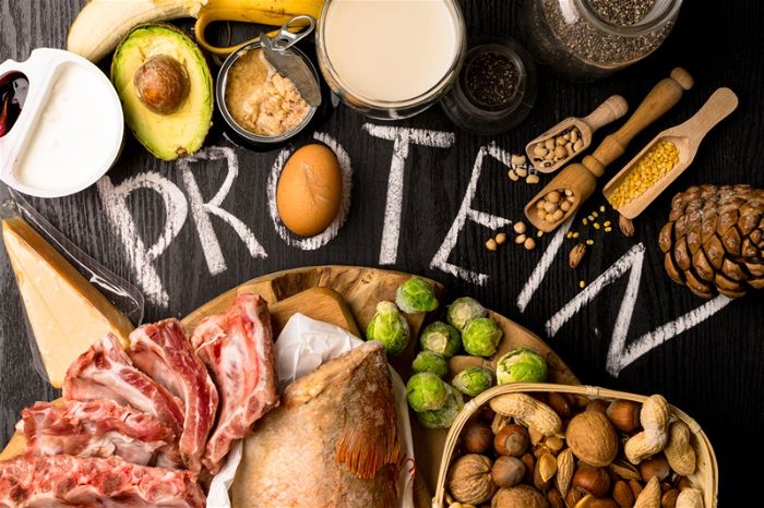 tác dụng của protein